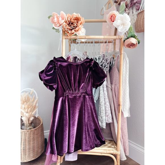 Zara Sugarplum Lush Drapey Soft Velvet Puff Slv Dress 6 - Picture 1 of 6